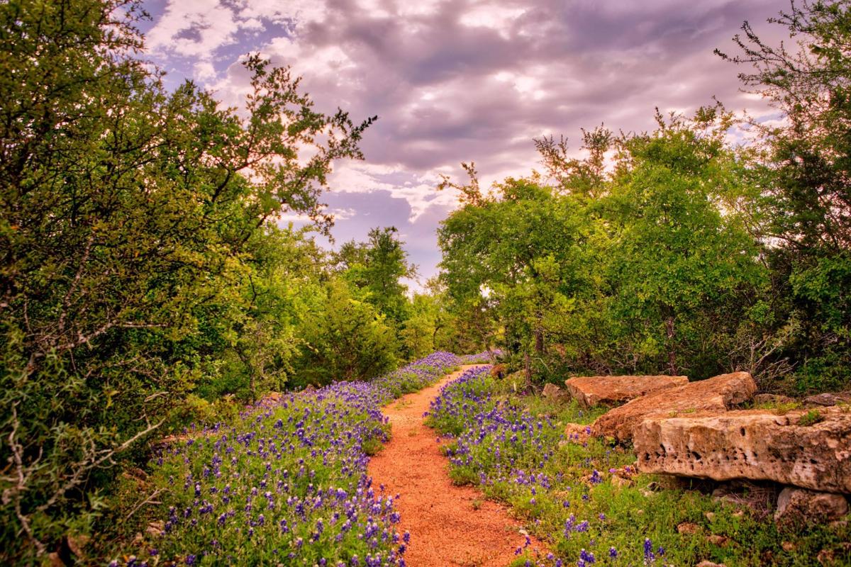 Johnson City, Texas Hill Country landscape