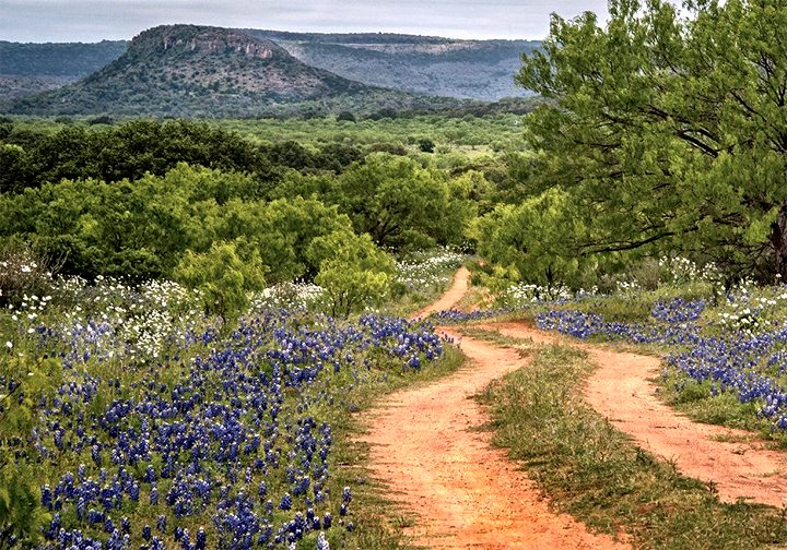 Buying Land in the Texas Hill Country: The 2026 Guide to Wells, Septic, Ag Exemptions, and Everything the Per-Acre Price Hides Caliche ranch road winding through bluebonnets toward a Texas Hill Country mesa