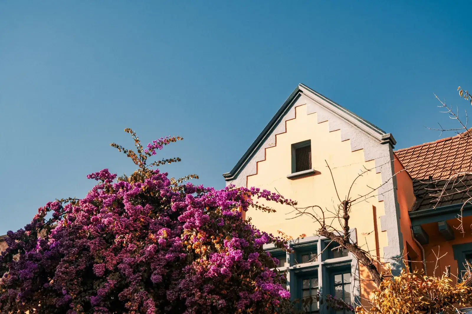 How to Sell Privately the Right Way How to Sell Privately the Right Way - Austin luxury real estate